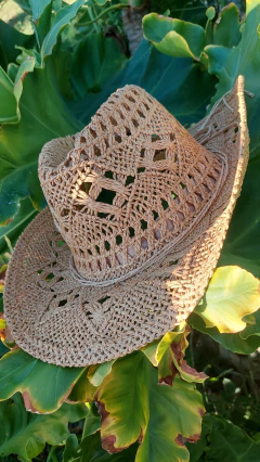 Sombrero Texano • JUSTINA • Tostado en internet