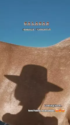 Bag • RODEO • SUELA en internet
