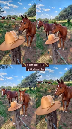 Sombrero -KYRA en internet