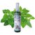Spray de Aceite de Catnip para felinos juguetones Zootec