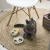 Set Comedero Bebedero Gatos Fun Feeding Cocooning 250 Ml