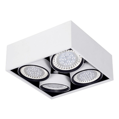 Plafon 2 Luces Blanco Cardanico Ar111 Berdy Alta Calidad