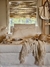 Sillon Memo en internet