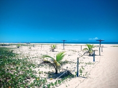 Banner da categoria Sabonete de Ervas