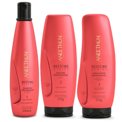 Aneethun Restore System - Restauração Capilar 3 Produtos