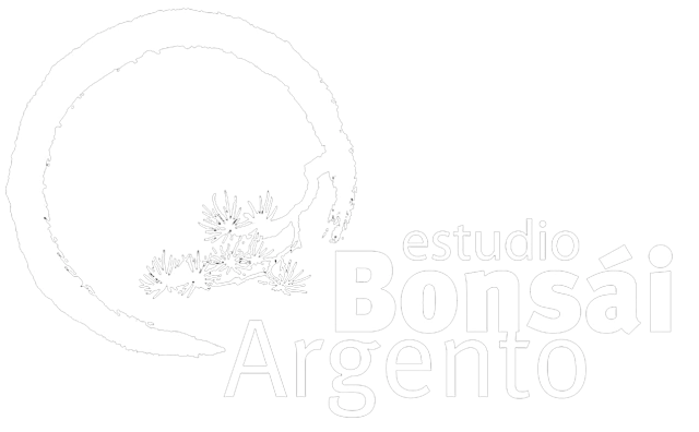 Bonsái Argento