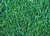 Poa Pratensis El Cencerro 15 KG - comprar online