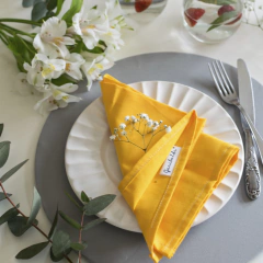 Plato de Sitio Lisos