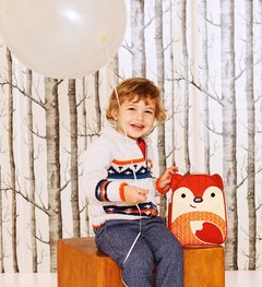 Lunchera Fox Skip Hop en internet