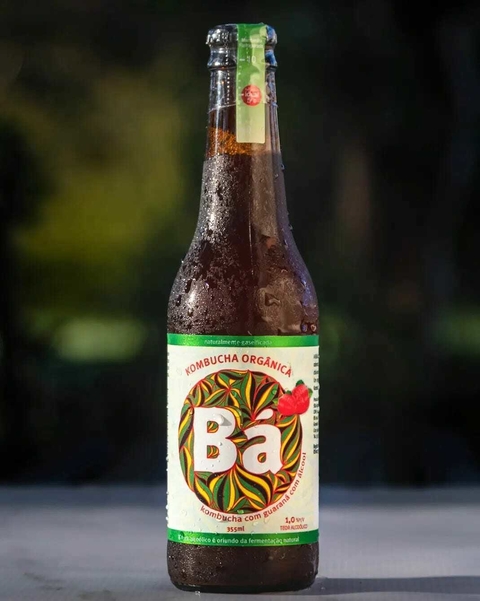 Long Neck GUARANÁ TRADICIONAL 355ml (R$14,70/un) - comprar online
