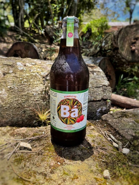 BÁ FAMÍLIA GUARANÁ TRADICIONAL 660ml (R$16,82/un)