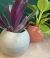 MACETA ESFERA - comprar online