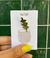 PIN HIERBAS
