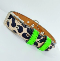 Collar Amber Verde Neon