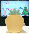 Taper Piña - PrettaPet