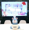 Lámpara Oso Lucky - comprar online