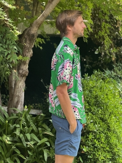 LA CAMISANI LAGUNA CON VERDIN