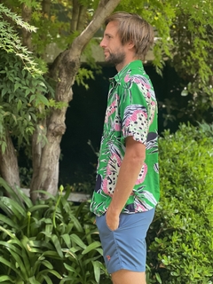 LA CAMISANI LAGUNA CON VERDIN - tienda online