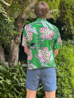 Imagen de LA CAMISANI LAGUNA CON VERDIN