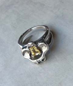 ANILLO CADERA
