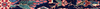 Banner Reina