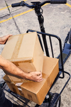 Frank Cargo - tienda online