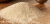 Levadura Safale US-04, fraccionada 11 gramos