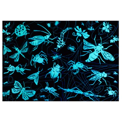 PUZZLE INSECTOS NOCTRUNO ROMPECABEZAS FLUORESCENTE 70 piezas - buy online