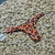 LESS FIJA PRINT CORAL