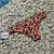 VEDETINA CON CINTURA PRINT CORAL - comprar online