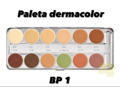Dermacolor Camuflagem Paleta Kryolan 12 cores BP1 - comprar online