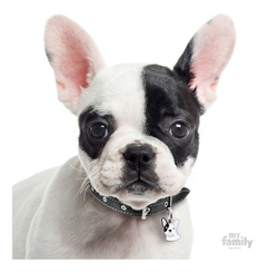 Chapita My Family Colección MY FRIENDS FRENCH BULLDOG