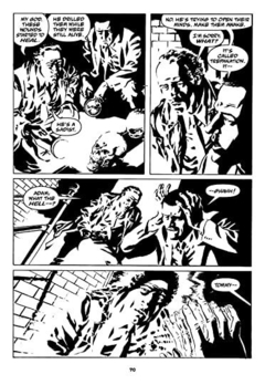 Area 10 Panini Noir Comics en internet