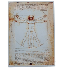 Poster Arte Lamina Hombre de vitruvio da vinci 30x46cm