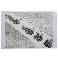 Poster Arte Lamina Wentelteefje Escher 30x46cm
