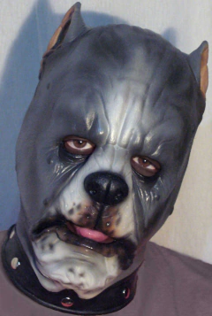 Mascara Perro Pitbull Latex Disfraz