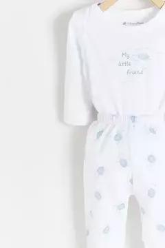 Set body ranita Turtles en internet