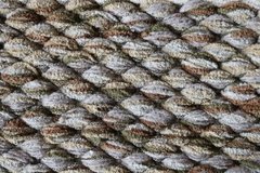 Tapete Alto Sala e Quarto Classico Bege Escuro - comprar online