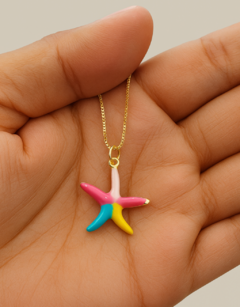 Estrella de mar multicolor en internet