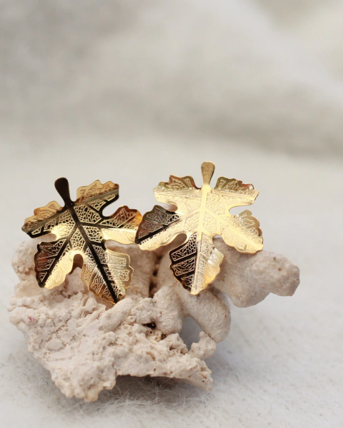 Maxiaretes otoño