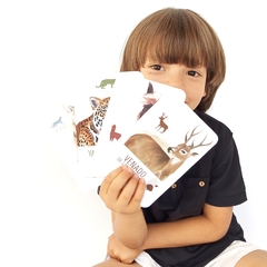 Flashcards Animales de Argentina - comprar online