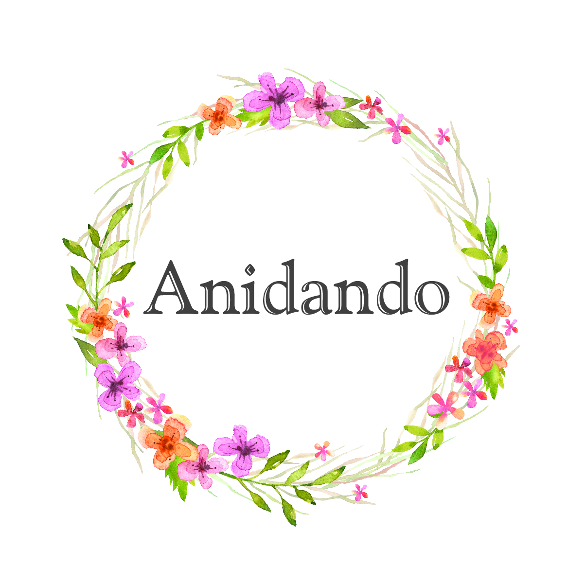 Anidando Deco