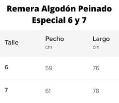 Remera Algodón Peinado 24.1 Premium - comprar online
