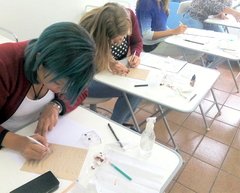 CURSO DE SOBRANCELHAS FIO A FIO MICROBLADING (TEBORI) na internet