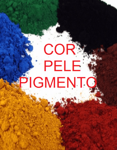 CURSO COLORIMETRIA PARA MICROPIGMENTAÇÃO - comprar online