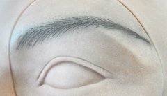 CURSO DE SOBRANCELHAS FIO A FIO MICROBLADING (TEBORI) - comprar online