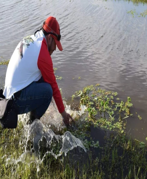 Carrusel Pescamania Pilar