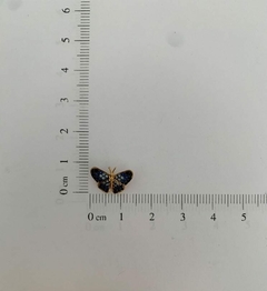 Pingente Borboleta Azul Cravejada (Cód. 7069) - comprar online