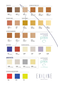 TINTURA INTENSIVE COLOR PLEX 60GR - EXILINE - Estilizados