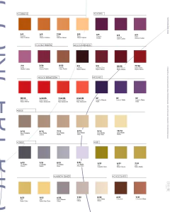 TINTURA INTENSIVE COLOR PLEX 60GR - EXILINE en internet